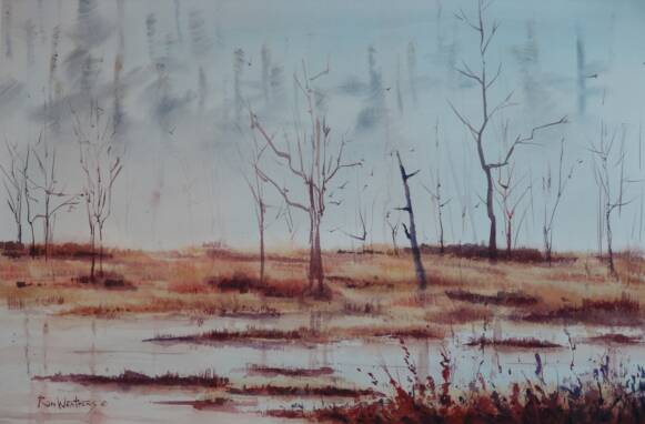 Foggy Marsh