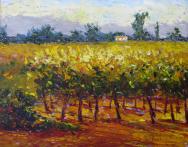 Vineyard