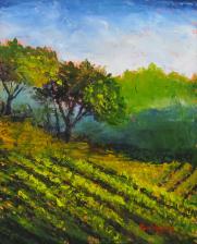Grape Vineyard